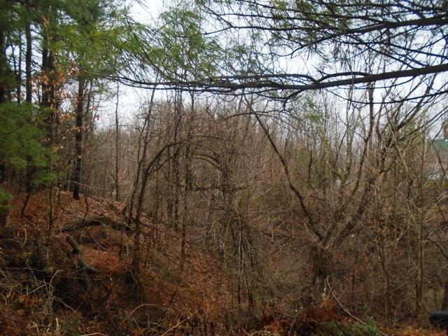2678 Alward Road Southwest Pataskala, OH 43062 - Photo 10 of 35