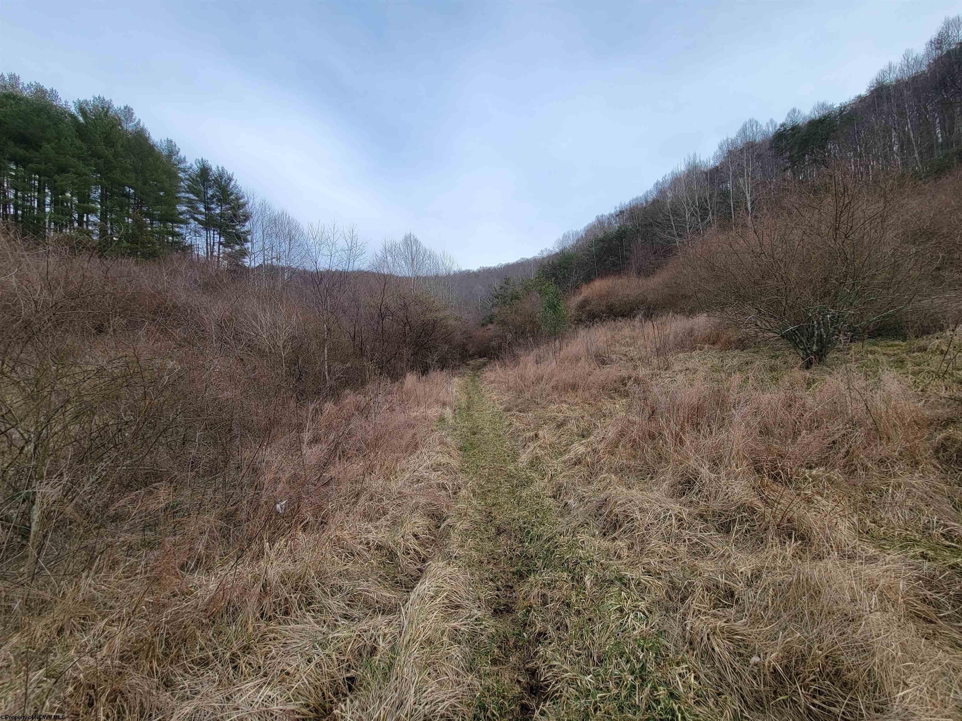 1857 Corley Caress Road Heaters, WV 26627 - Photo 9 of 24 Gallery Image 9