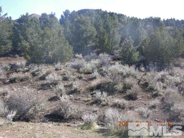 1820 Lousetown Road, Unit NV Reno, NV 89521 - Photo 1 of 1 a view of a dry yard with trees