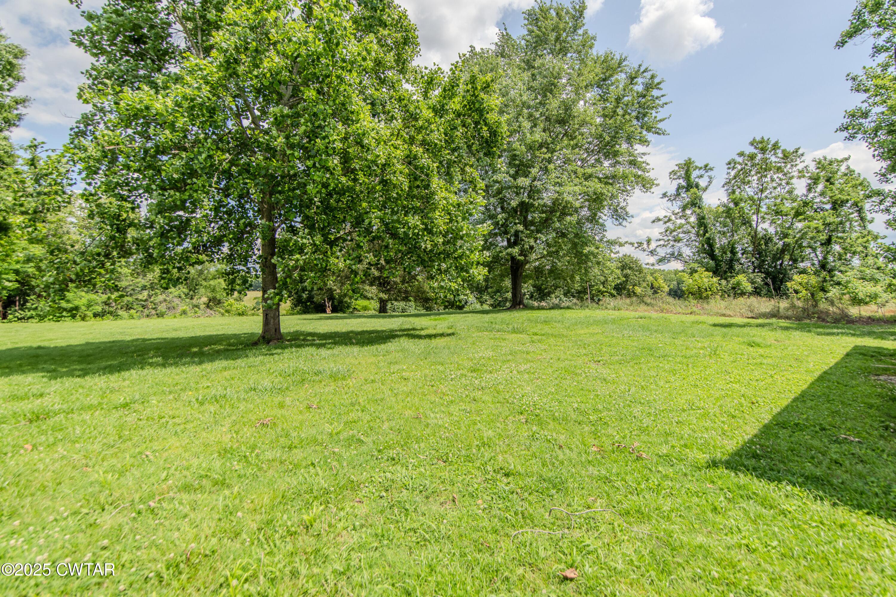 425 Reed Farm Road Martin, TN 38237 - Photo 8 of 22 8