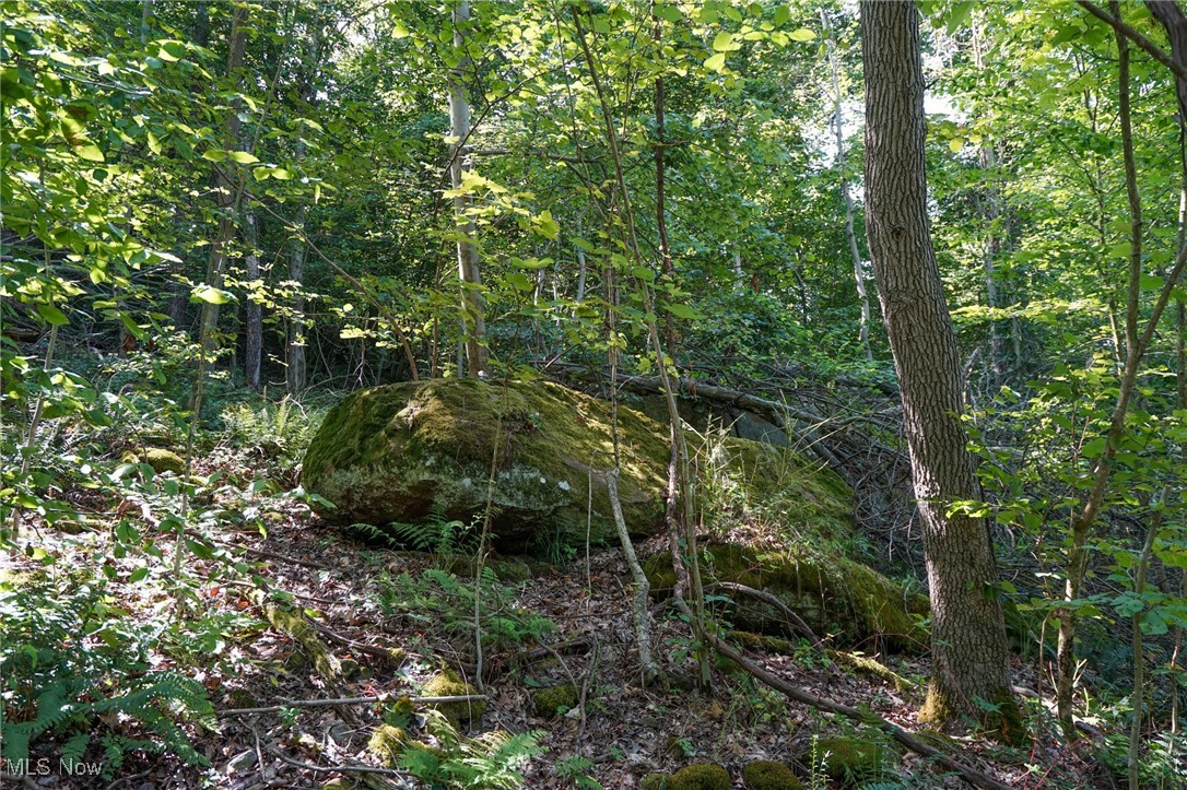 Johnson Run Road Kimbolton, OH 43749 - Photo 13 of 36 View of landscape