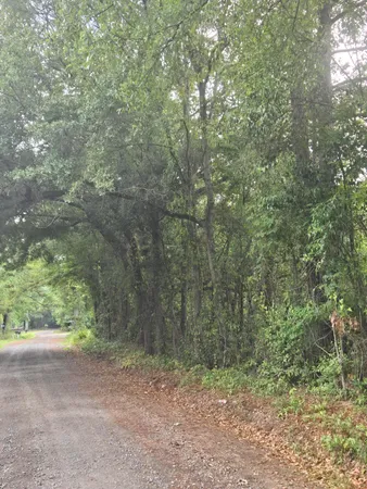 $46,000 | Lot 2 Rodenberry Road, Cross, SC 29436