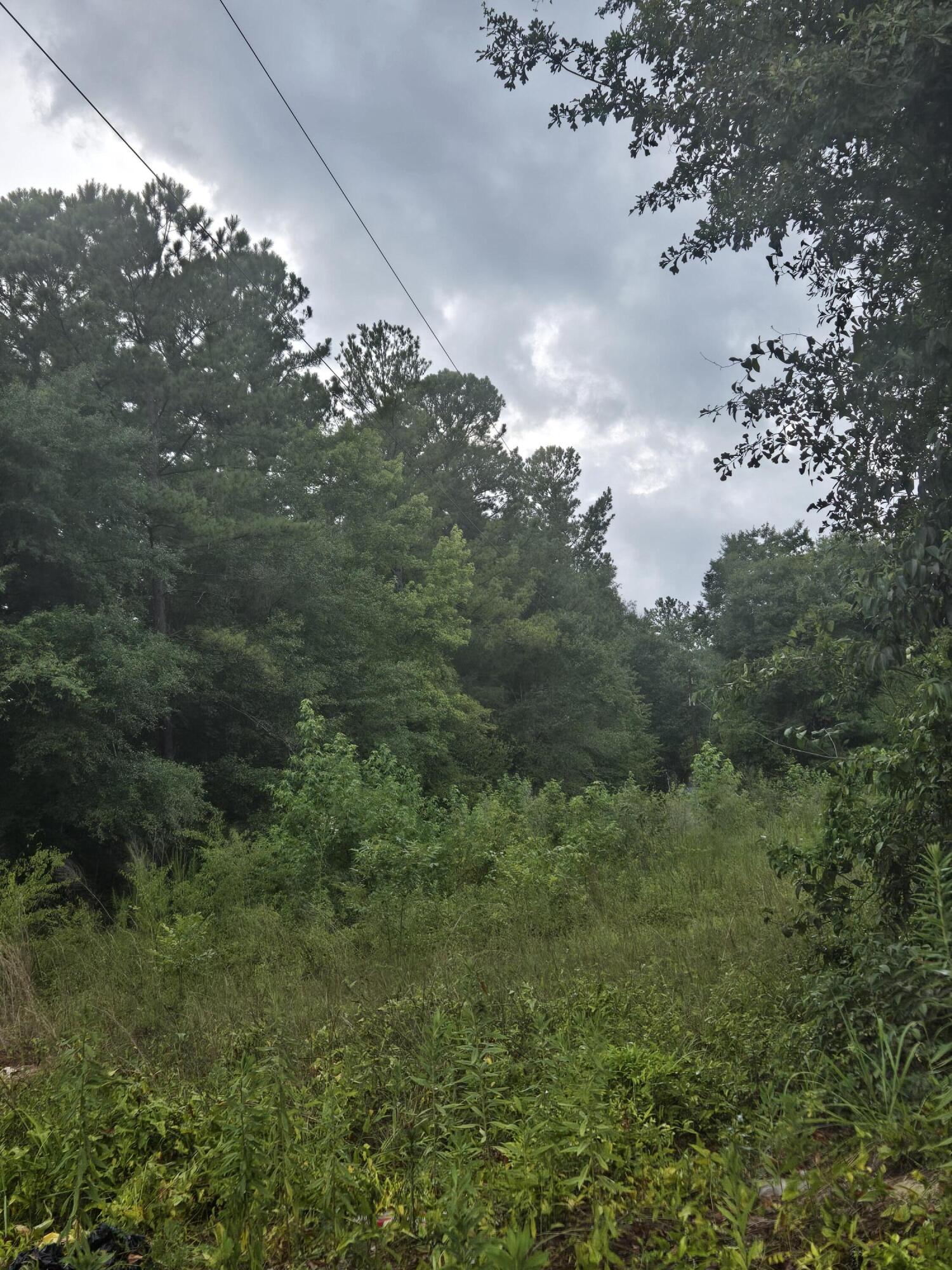 Lot 2 Rodenberry Road Cross, SC 29436 - Photo 3 of 4 1000003111
