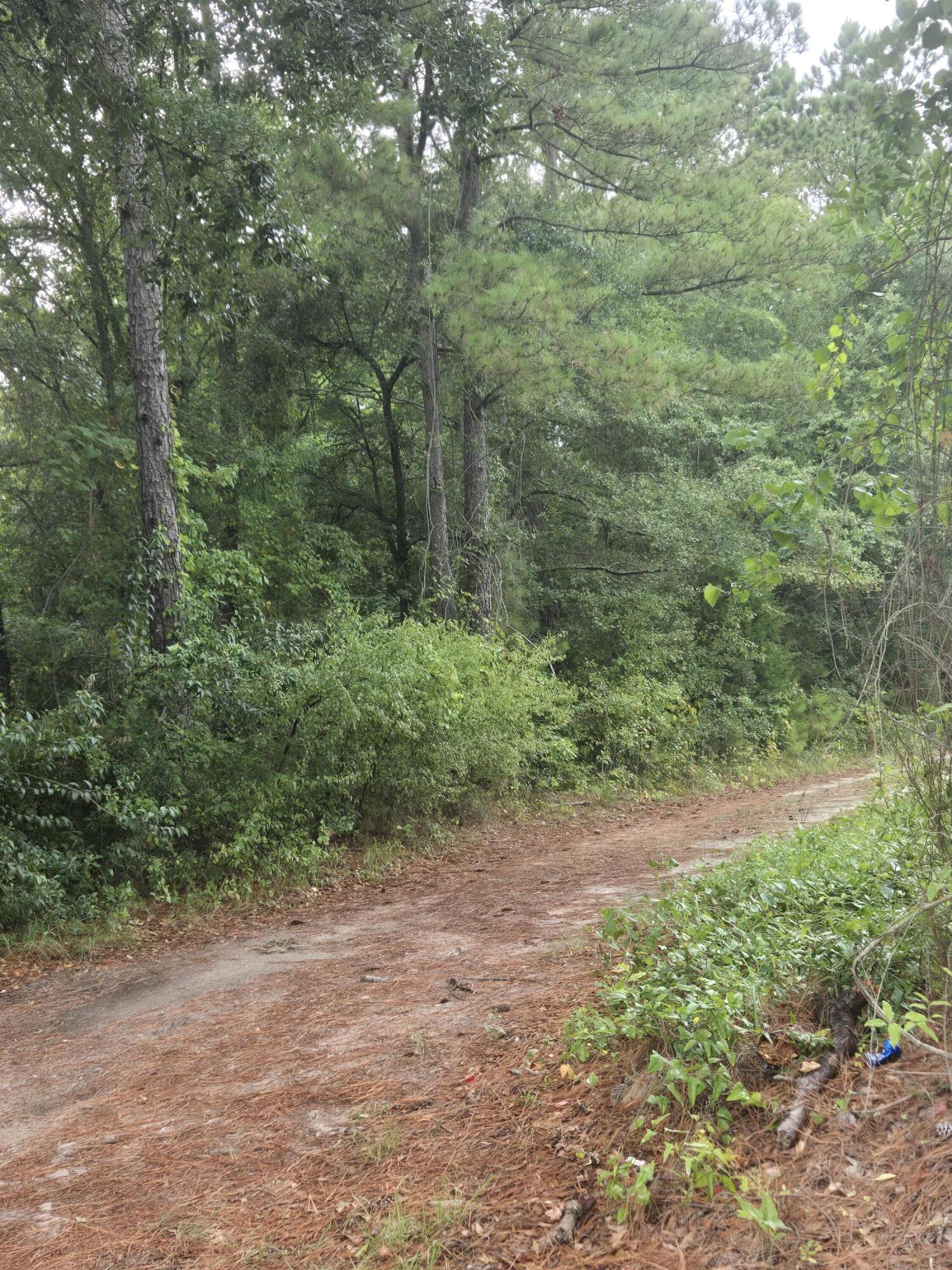 Lot 2 Rodenberry Road Cross, SC 29436 - Photo 4 of 4 1000003112