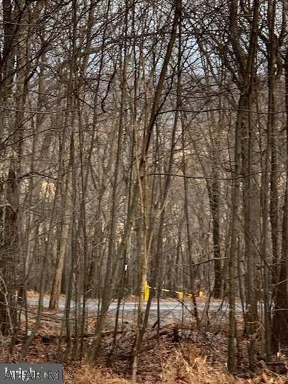 0 Childers Ridge Road Hopewell, PA 16650 - Photo 66 of 70 Gallery Image 66