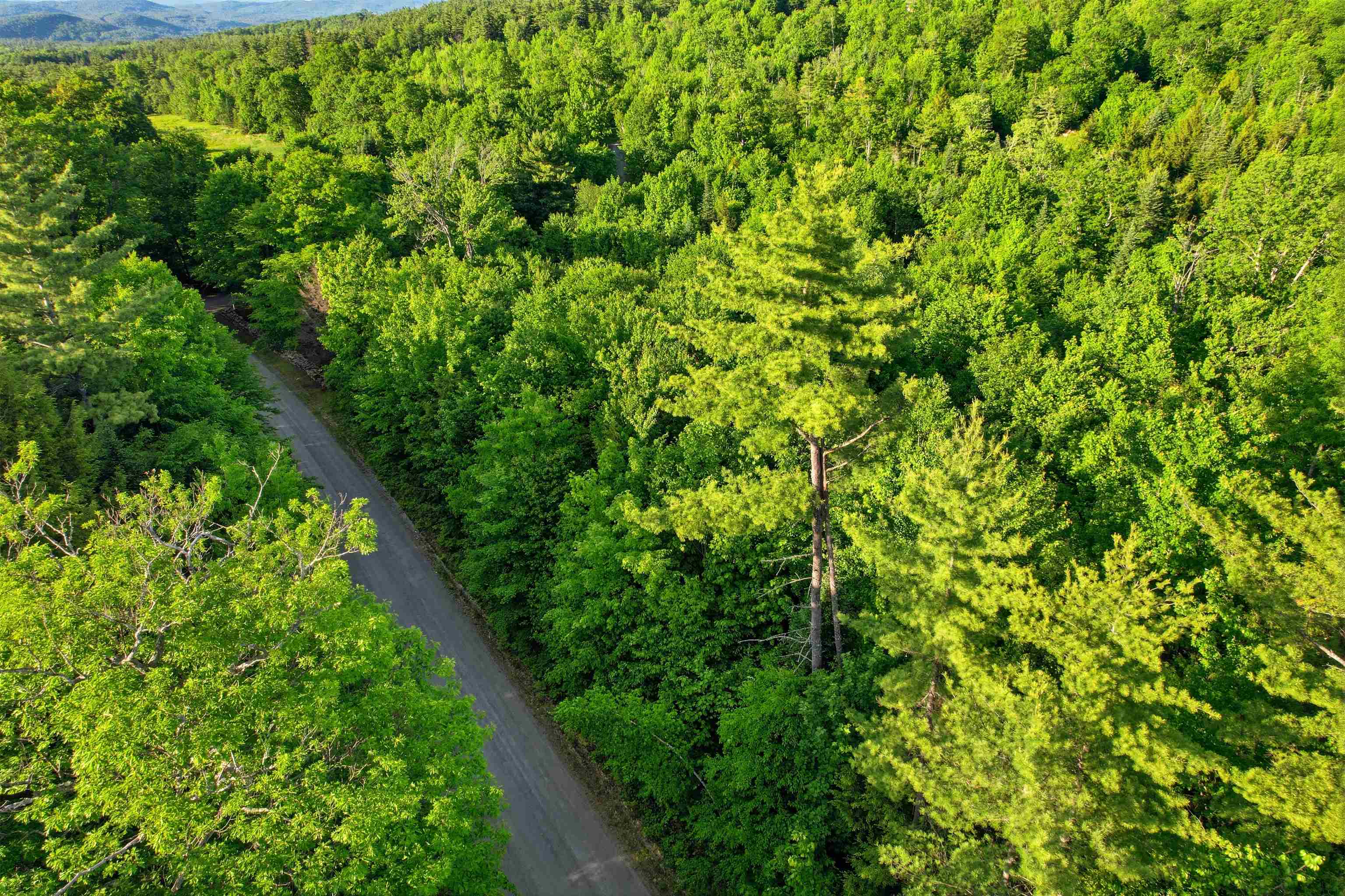0 Porter Road Bath, NH 03740 - Photo 11 of 18