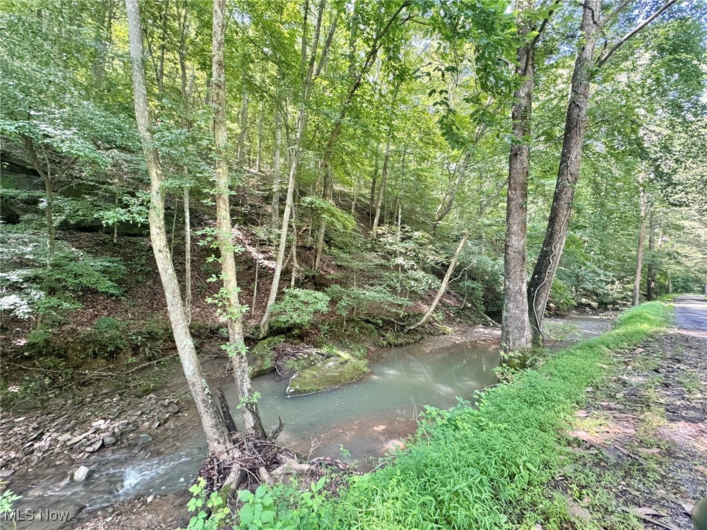 2 Big Root Road Grantsville, WV 26147 - Photo 17 of 18 Gallery Image 17