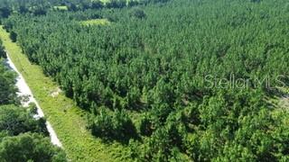 Southwest Carpenter Road West Lake City, FL 32024 - Photo 4 of 5