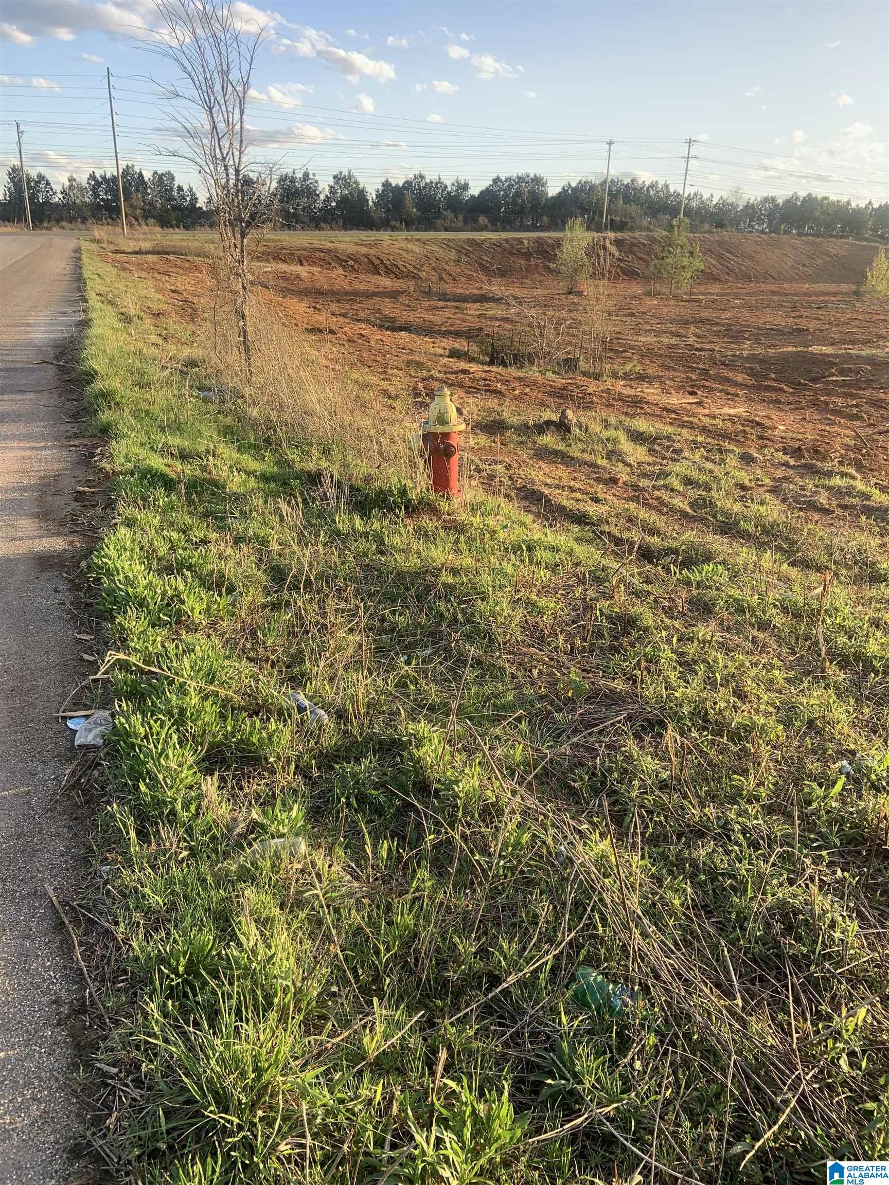 0 Providence Road, Unit 71 ACRES Talladega, AL 35160 - Photo 8 of 9