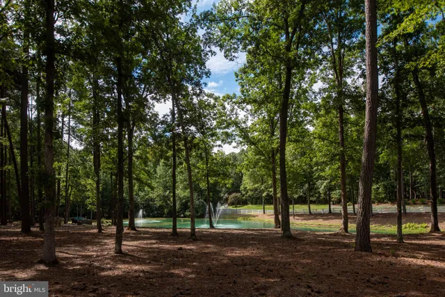 $1,300,000 | 11204 Honor Bridge Farm Place, Spotsylvania, VA 22551