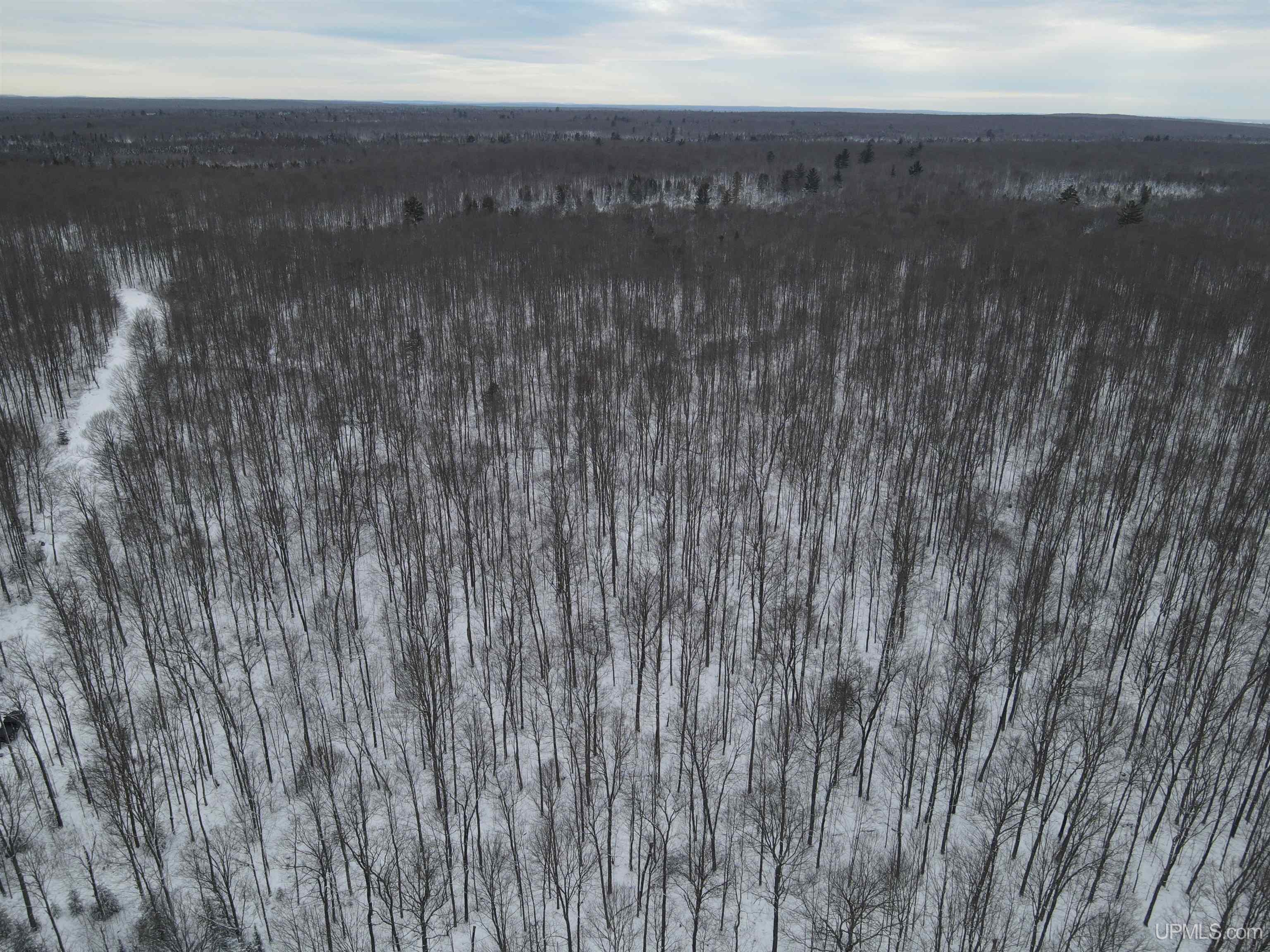 80-acr 80-acr Ford Road Watton, MI 49970 - Photo 8 of 17