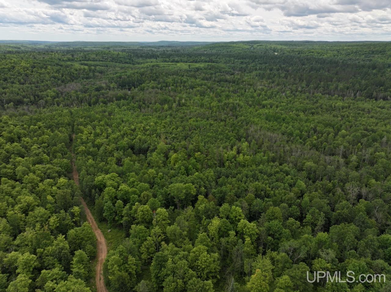 94-acres Off Bates Amasa Road Crystal Falls, MI 49920 - Photo 18 of 38