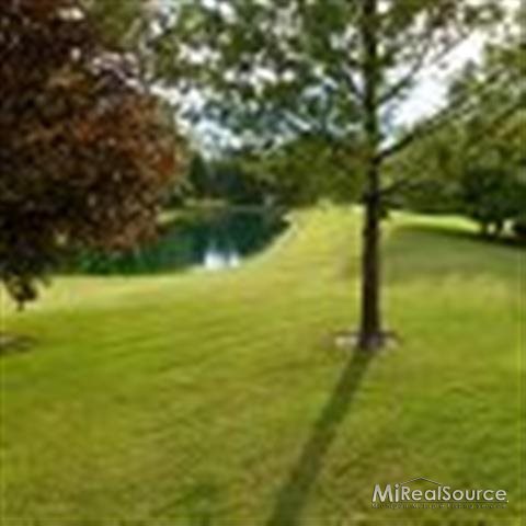 64303 Haven Ridge Road New Haven, MI 48050 - Photo 14 of 14 Pond