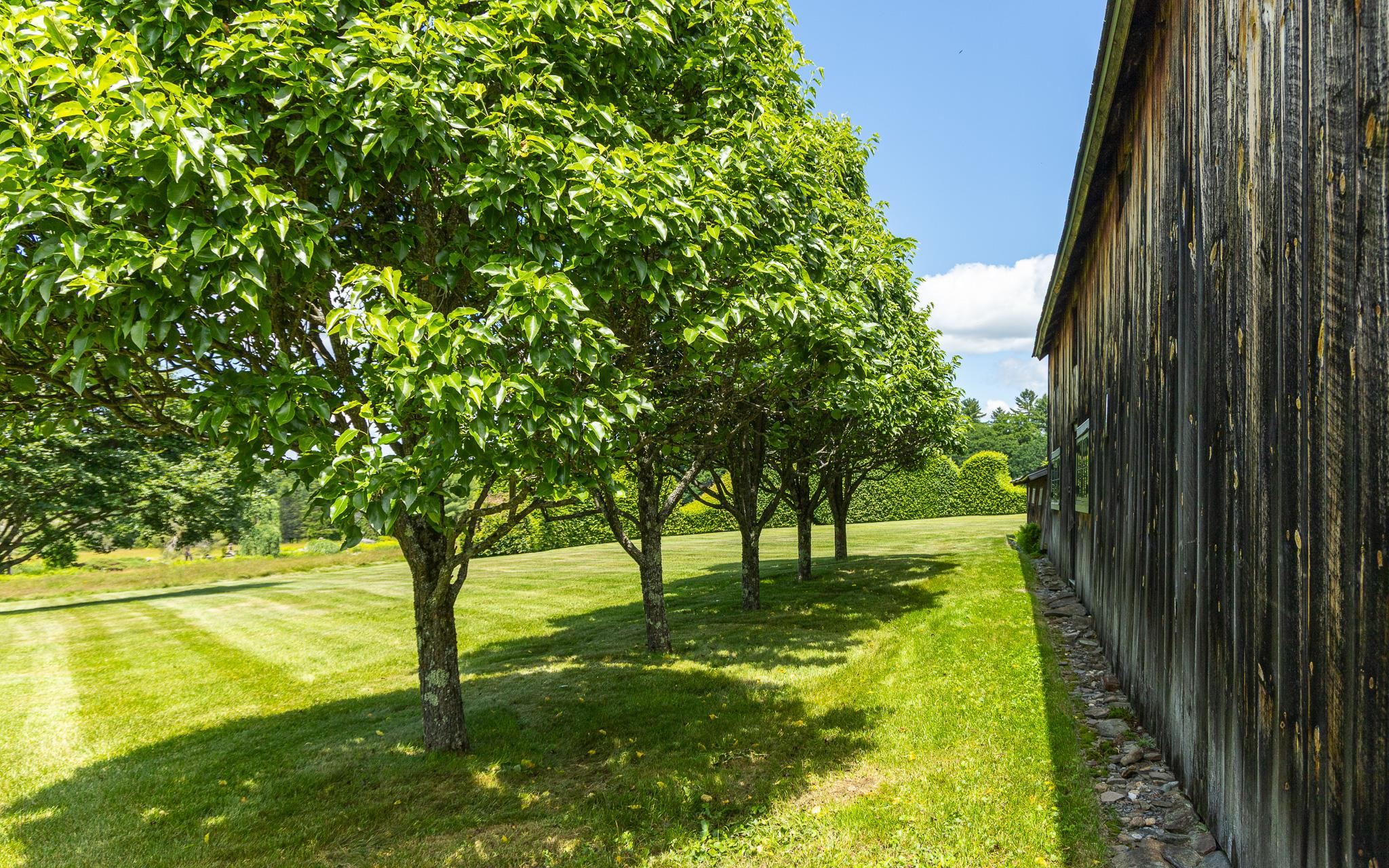 867 Forest Road Alstead, NH 03602 - Photo 19 of 60