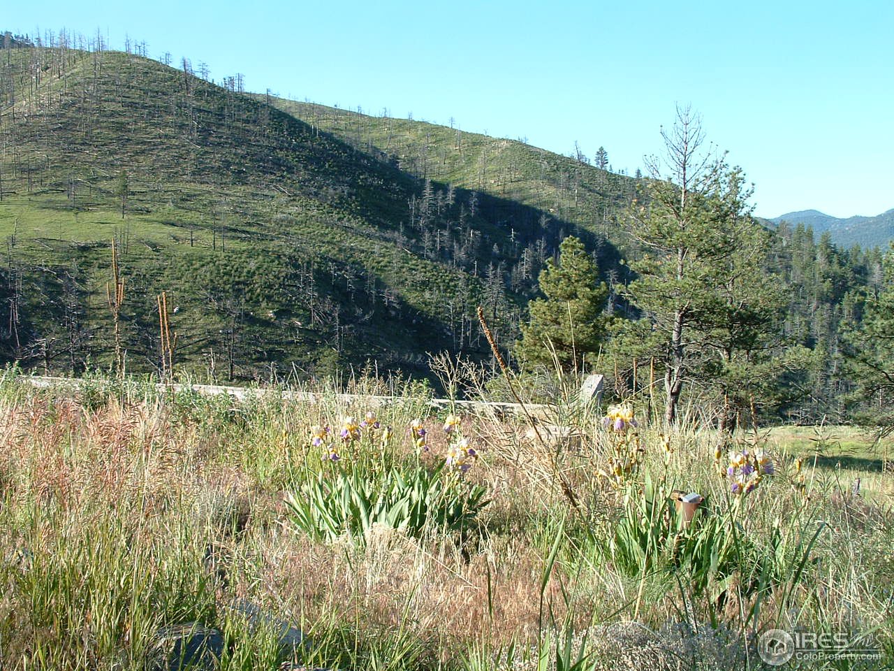 6045 Obenchain Road Laporte, CO 80535 - Photo 5 of 25 View to Poudre Land Trust