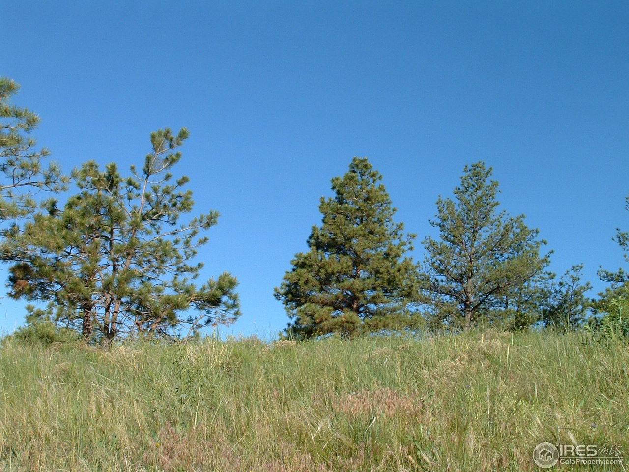6045 Obenchain Road Laporte, CO 80535 - Photo 8 of 25 Gallery Image 8