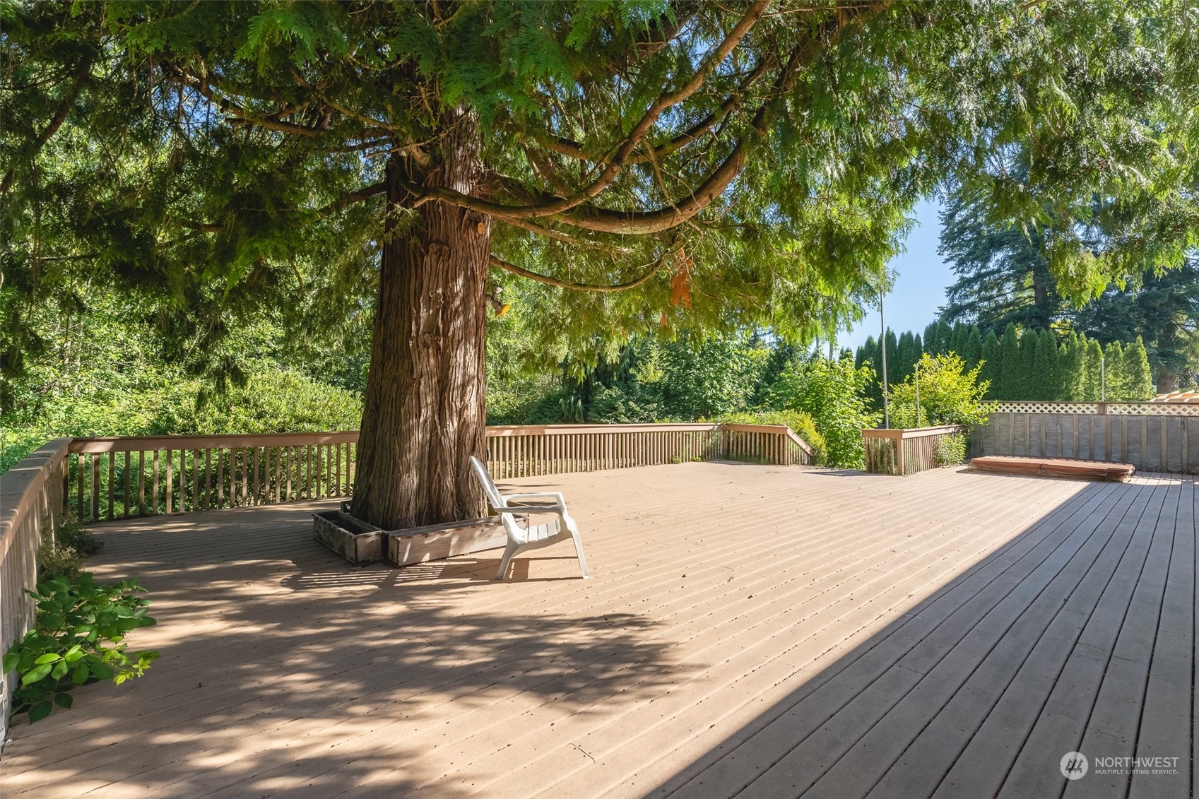 1069 East Axton Road Bellingham, WA 98226 - Photo 27 of 33 a view of a yard with plants and trees