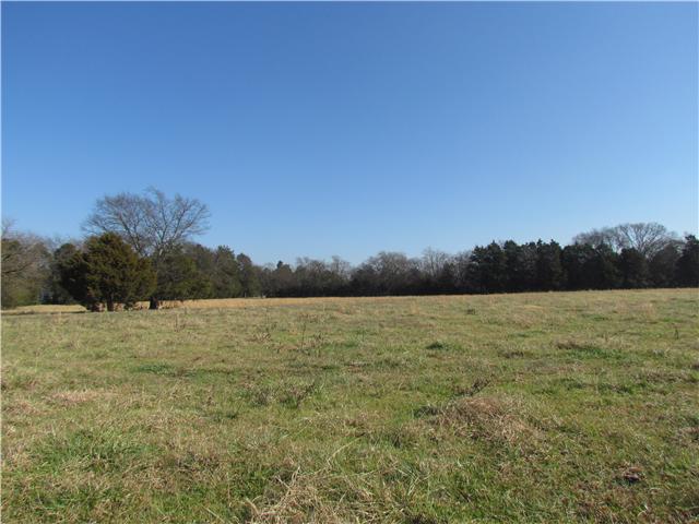 8411 Sims Road Christiana, TN 37037 - Photo 1 of 17 Gallery Image 1