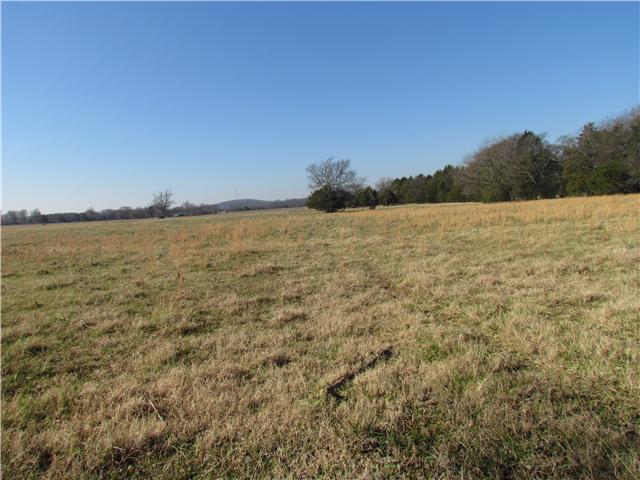 8411 Sims Road Christiana, TN 37037 - Photo 13 of 17 Gallery Image 13