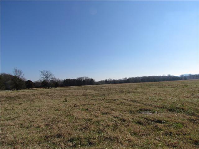 8411 Sims Road Christiana, TN 37037 - Photo 16 of 17 Gallery Image 16