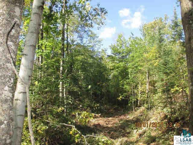 X Star Rte Road Bayfield, WI 54814 - Photo 1 of 8 Gallery Image 1