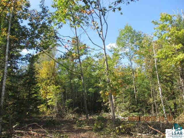 X Star Rte Road Bayfield, WI 54814 - Photo 6 of 8 Gallery Image 6