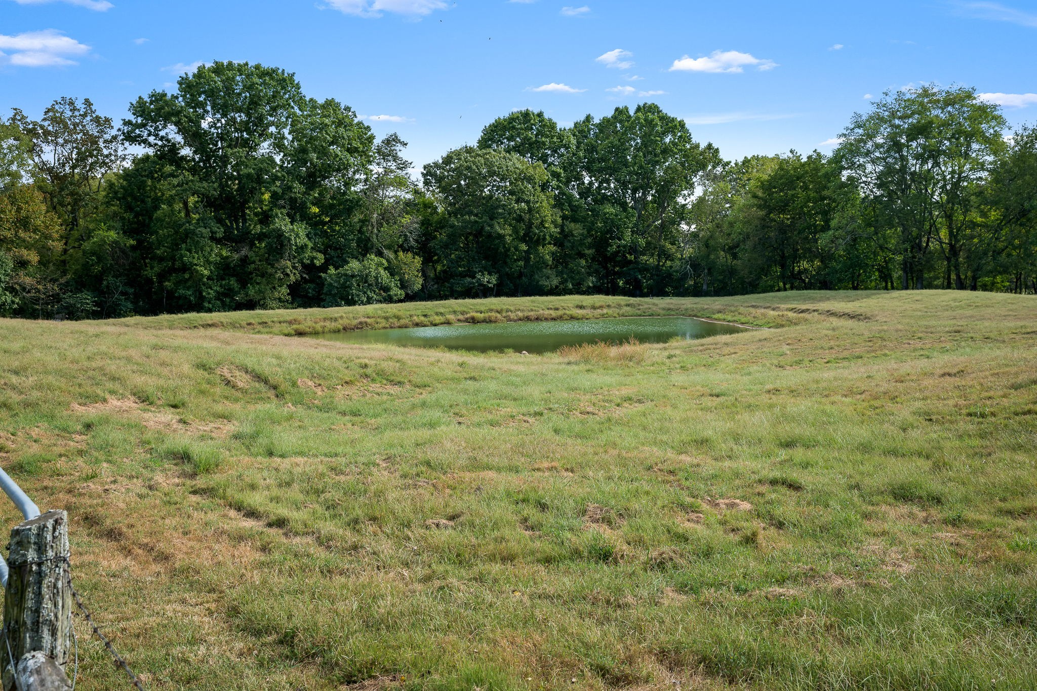 3466 Foster Chapel Road Williamsport, TN 38487 - Photo 85 of 100 Gallery Image 85