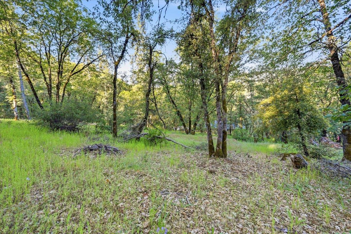 16095 Auburn Road Grass Valley, CA 95949 - Photo 15 of 20