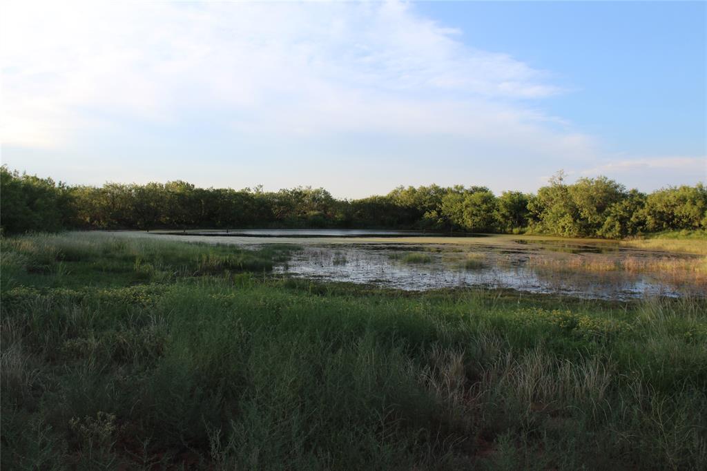 144000 Tx Highway Robert Lee, TX 76945 - Photo 14 of 37