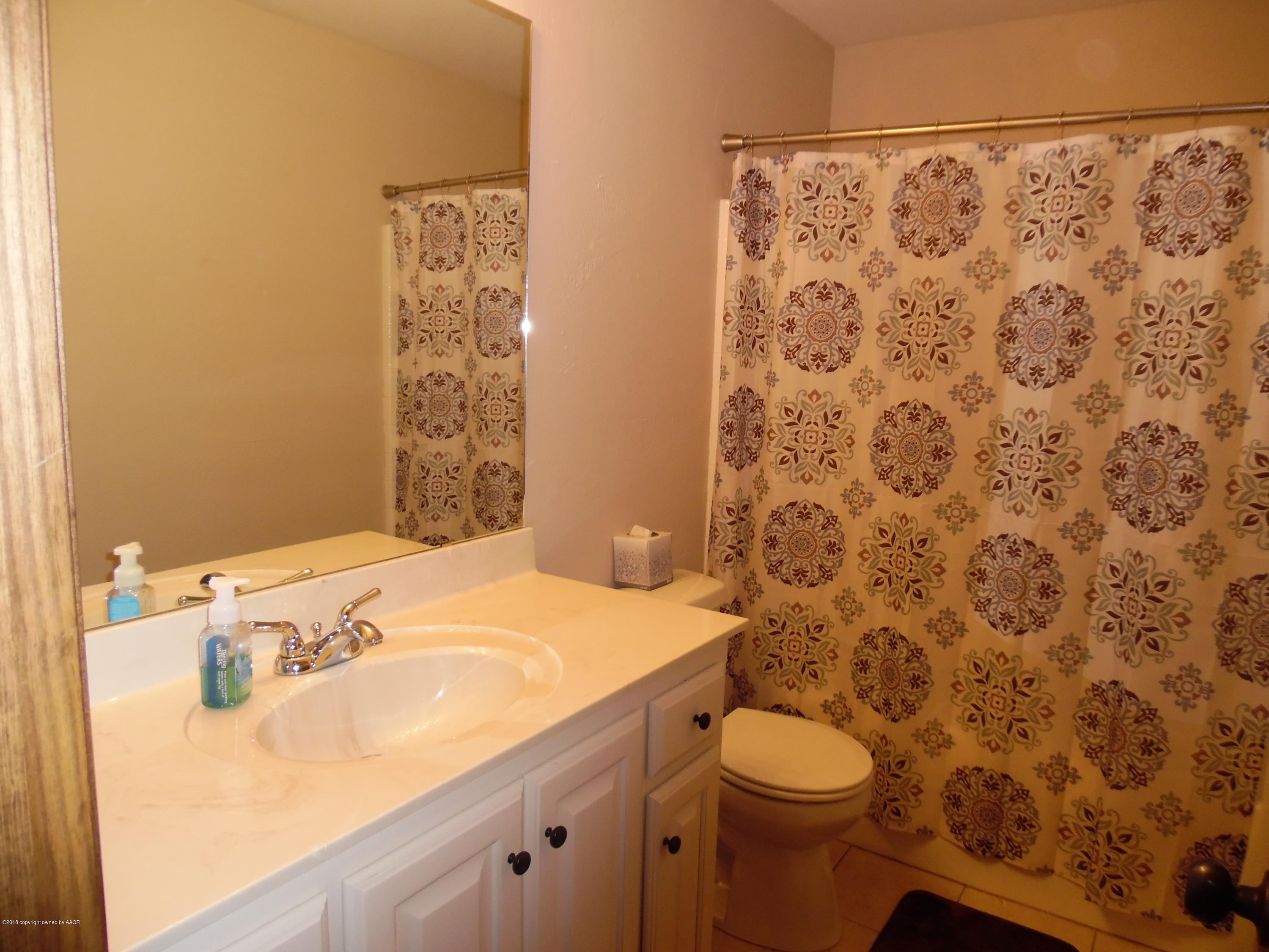 4207 Scotswood Drive Amarillo, TX 79110 - Photo 15 of 21 Hall Bath