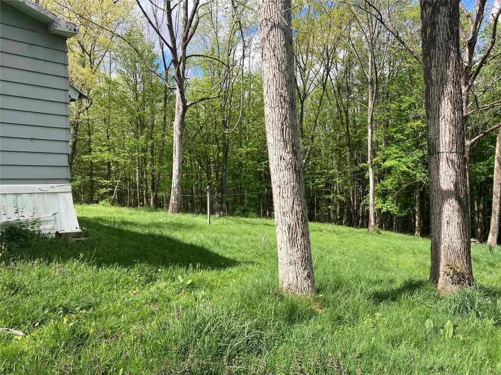 418 Leasure Hill Road Nichols, NY 13812 - Photo 19 of 49 Gallery Image 19