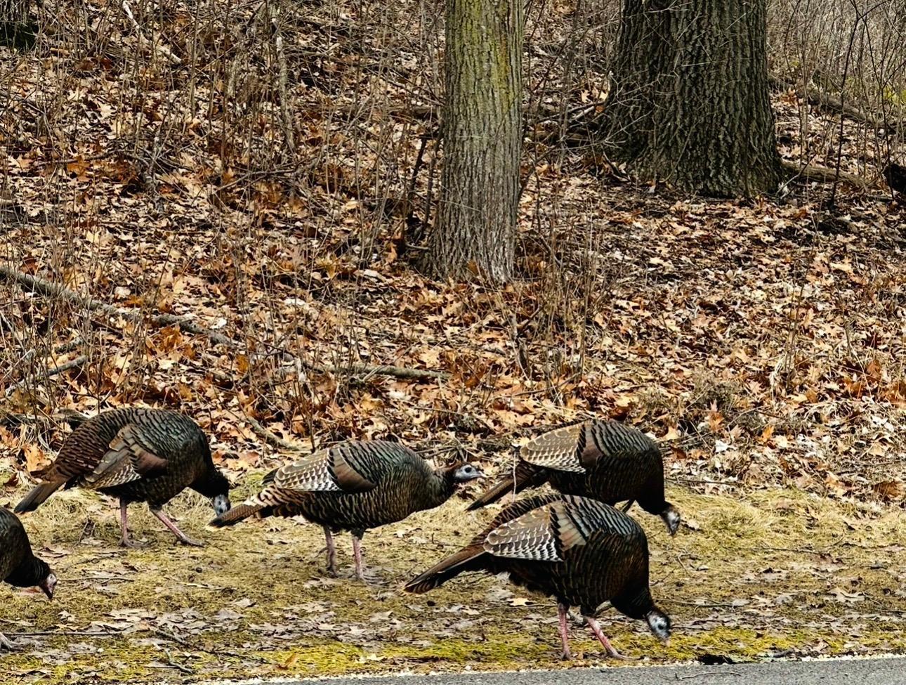 14759 McGinty Road West Wayzata, MN 55391 - Photo 66 of 75