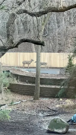 $1,499,000 | 14759 McGinty Road West, Minnetonka, MN 55391