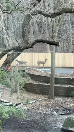 $1,499,000 | 14759 McGinty Road West, Minnetonka, MN 55391