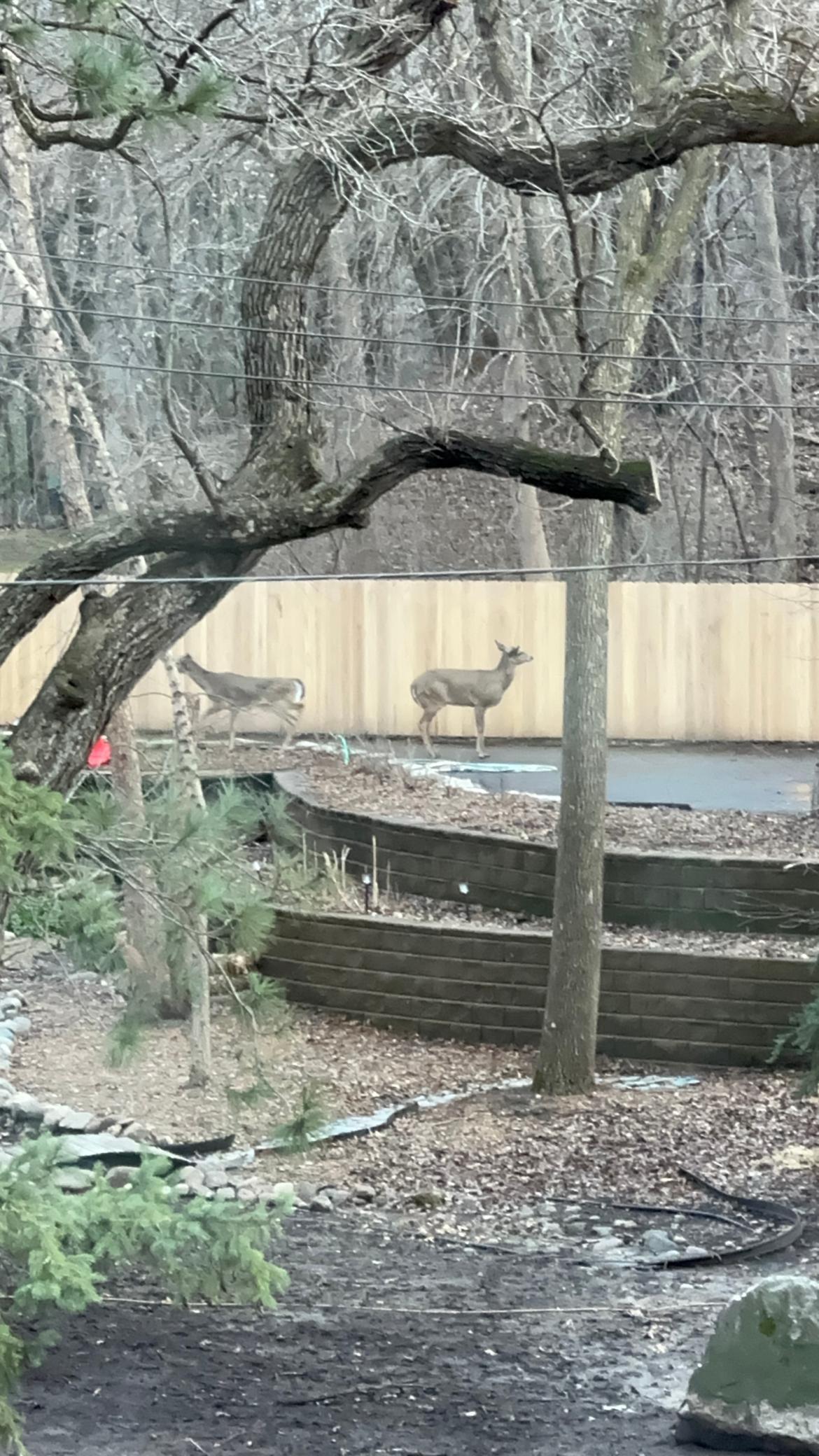 14759 McGinty Road West Wayzata, MN 55391 - Photo 68 of 75