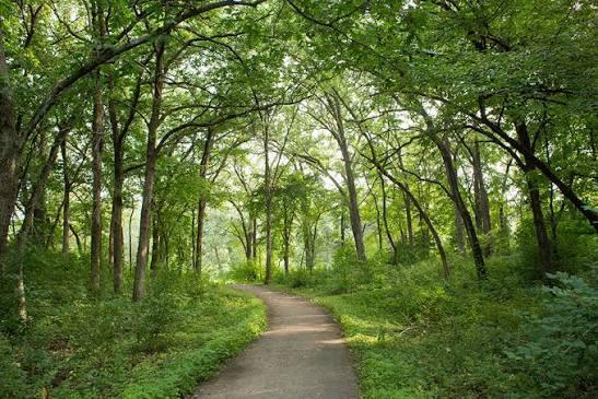 14759 McGinty Road West Wayzata, MN 55391 - Photo 75 of 75