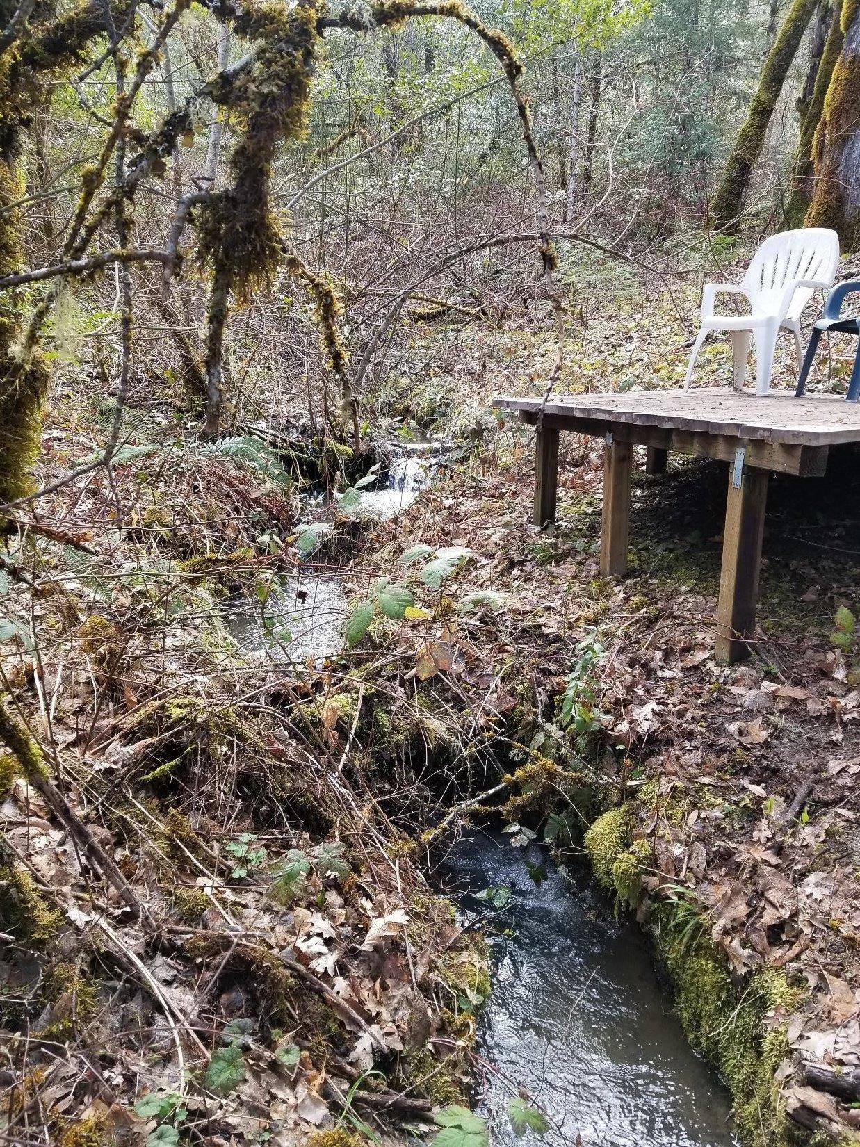 705 Greenview Road Cave Junction, OR 97523 - Photo 2 of 20 Additional Photo