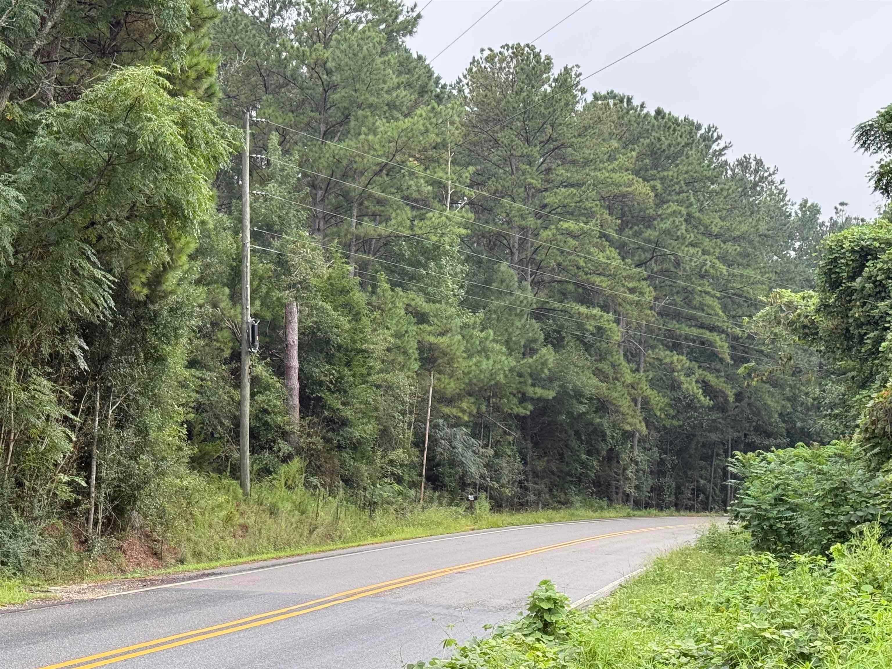 10-ac Ard Creek Road Red Level, AL 36474 - Photo 6 of 6 Gallery Image 6