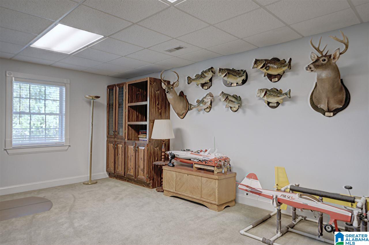 2475 Co Highway 24 Springville, AL 35146 - Photo 27 of 43