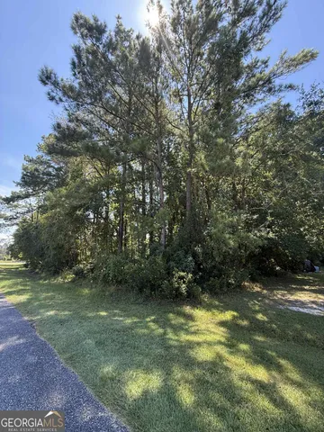 a view of a yard with plants and trees