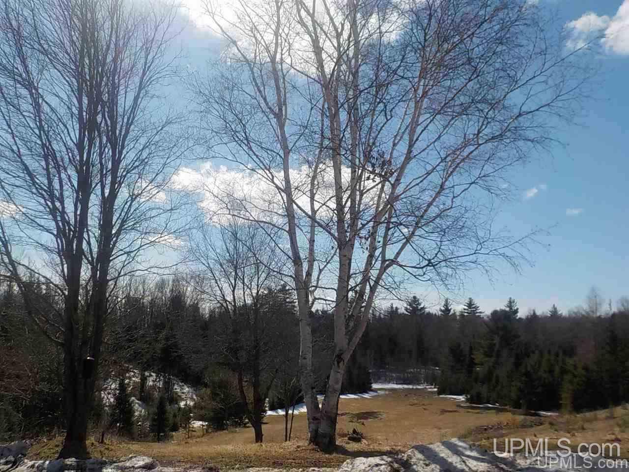 467 Lind Road Crystal Falls, MI 49920 - Photo 2 of 34