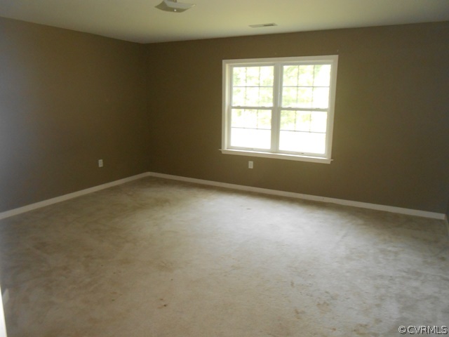 19911 Shippings Road Dewitt, VA 23840 - Photo 6 of 15