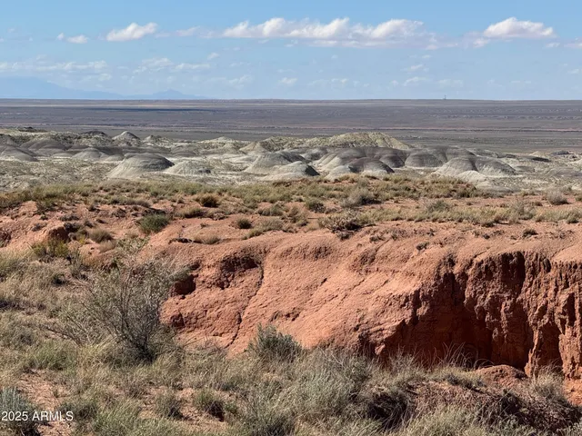 a view of a dry yard with wooden floor