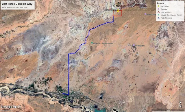 a close up of a plant