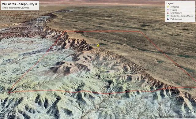 a view of a dry yard