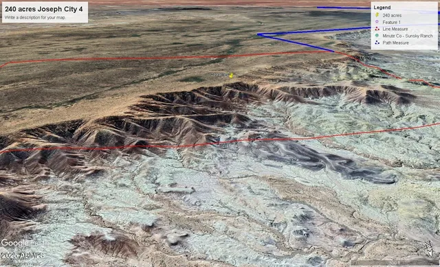 a view of a yard with plants and large trees