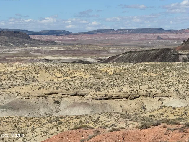 a view of a dry yard