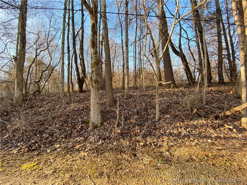 Quarry Road New Albany, IN 47150 - Photo 8 of 14
