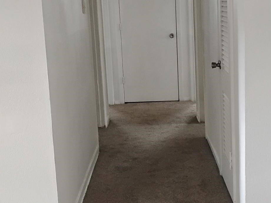 3436 West Horn Lake Road Memphis, TN 38109 - Photo 5 of 20 a view of a hallway