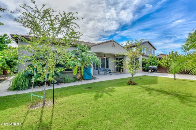 a view of a yard with plants and trees